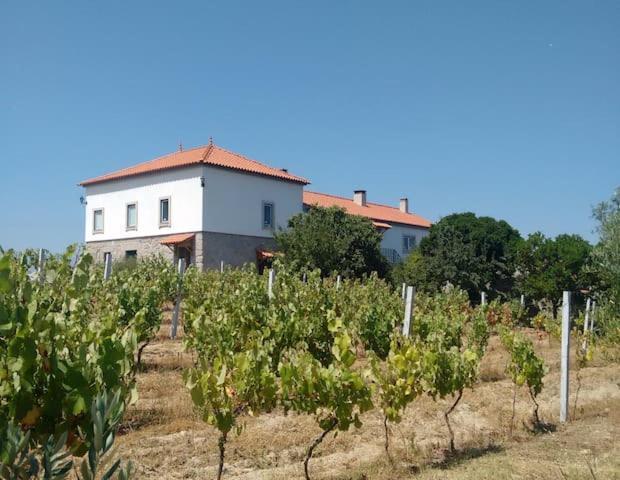 세이아 Quinta De Vodra 빌라 외부 사진