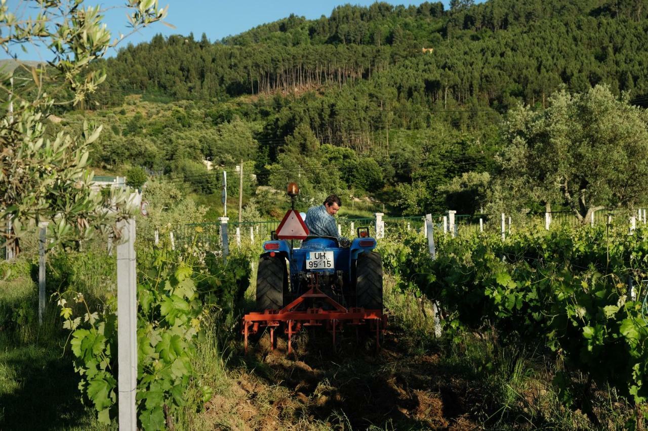 세이아 Quinta De Vodra 빌라 외부 사진